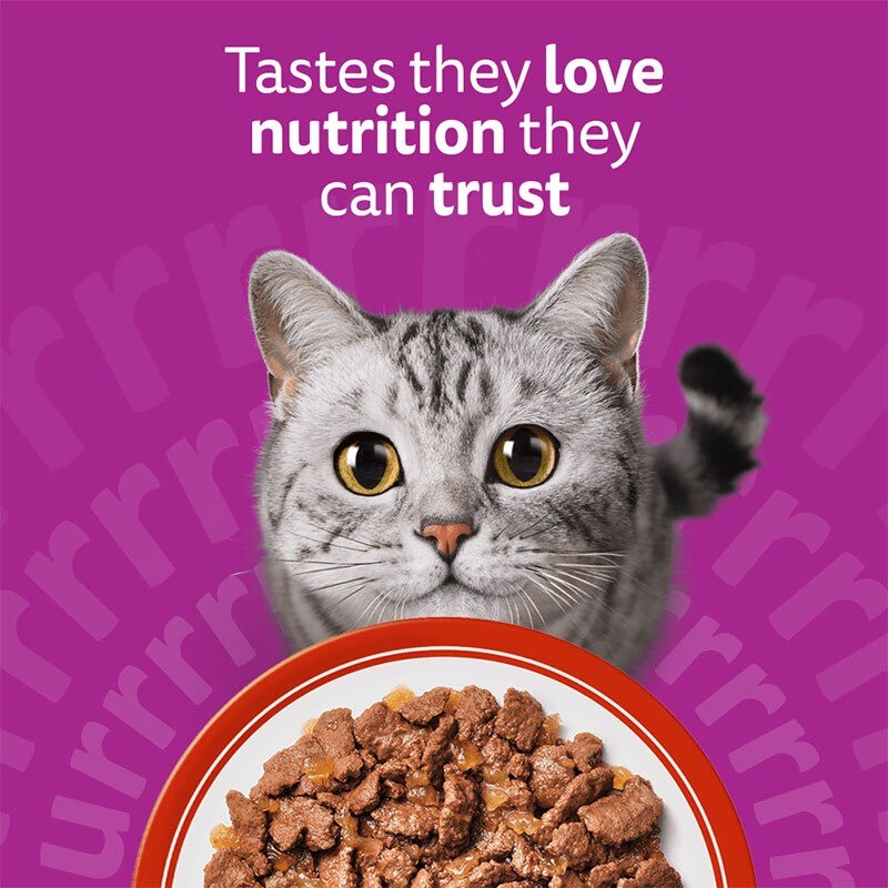 پوچ گربه ویسکاس با طعم گوشت گاو Whiskas Meaty Meals in Jelly وزن 85 گرم
