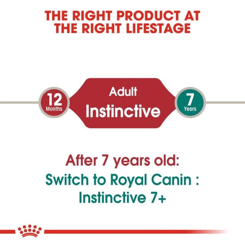 پوچ گربه رویال کنین با طعم گوشت Royal Canin Cat Pouch Instinctive وزن 85 گرم