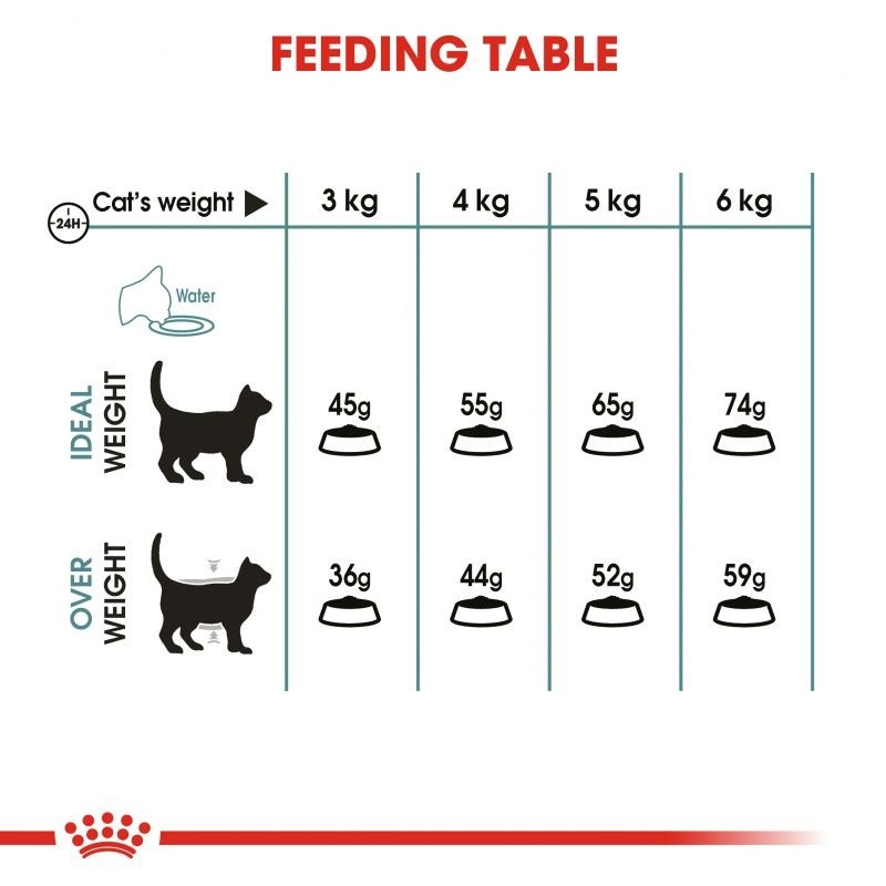 غذای خشک گربه ضد گلوله مو رویال کنین Royal Canin HairBall Care وزن 10 کیلوگرم