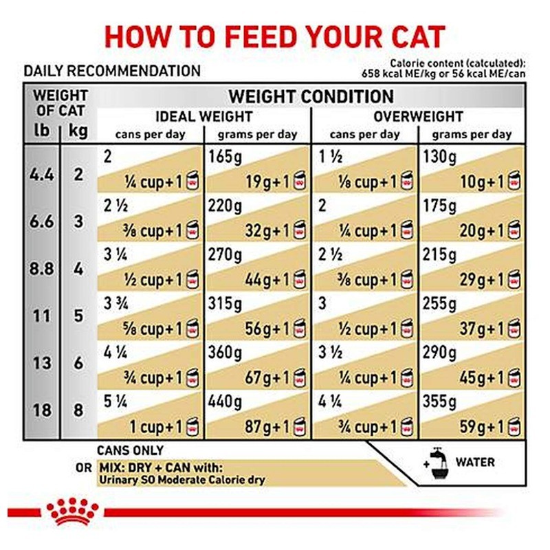 غذای خشک گربه رویال کنین Royal Canin Urinary S/O وزن 3.5 کیلوگرم