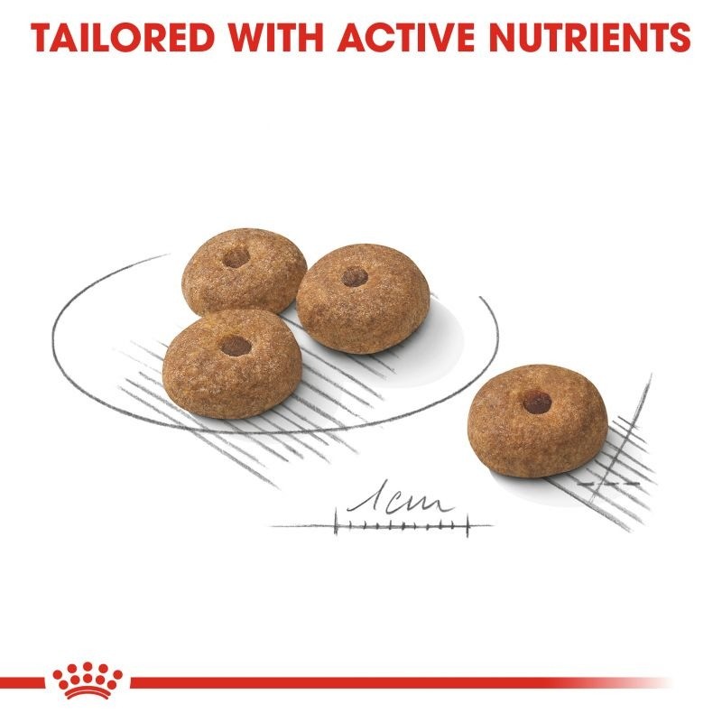 غذای خشک سگ عقیم شده‌ نژاد کوچک رویال کنین Royal Canin Mini Sterilised وزن 3 کیلوگرم