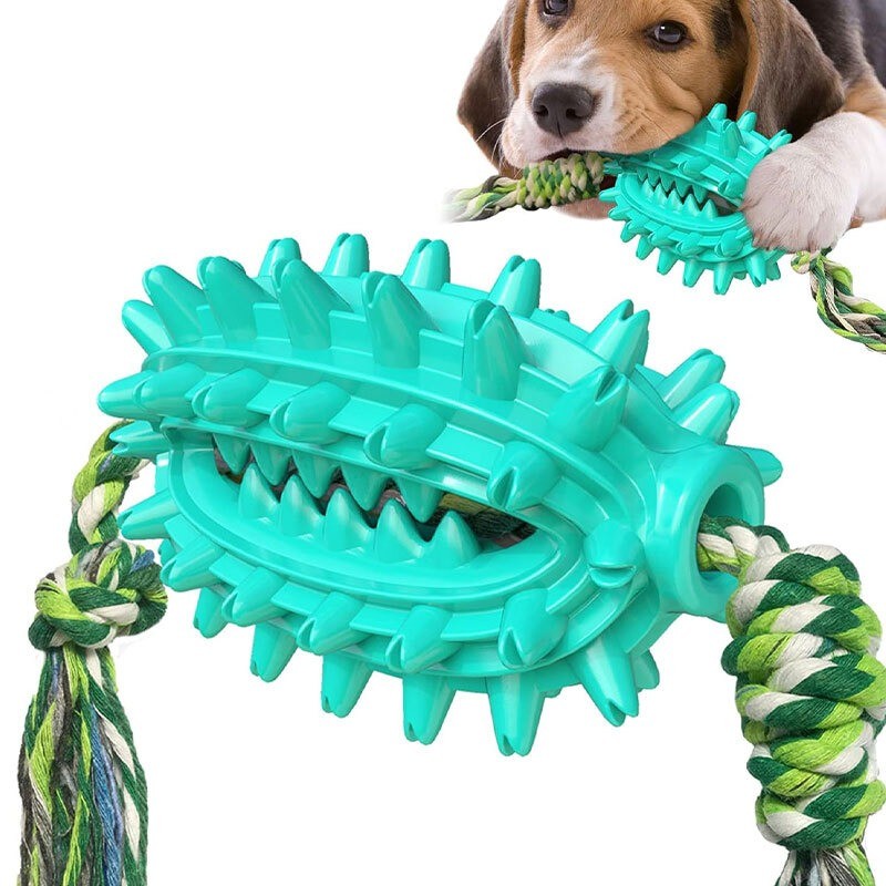 اسباب‌بازی دندانی سگ Cactus Molar Chew Toy