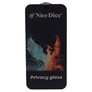 گلس پرایوسی Nice Dice آیفون 11