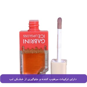 لیپ گلاس بستنی گابرینی ICE