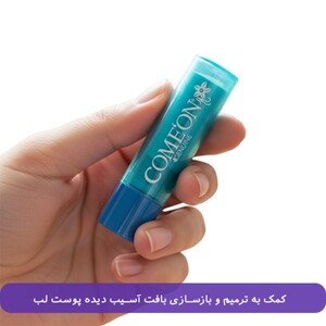 بالم لب وانیل کامان