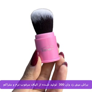 براش مینی زد وان Z-300