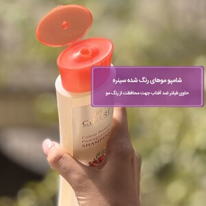 شامپو تثبیت کننده رنگ مو سینره