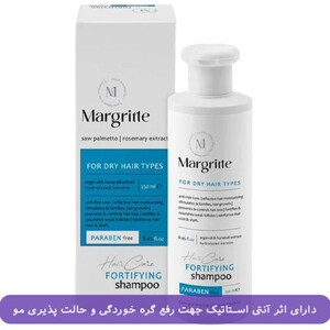 شامپو تقویت کننده مارگریت موهای خشک 250ml