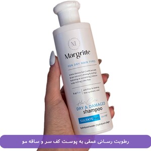 شامپو موی خشک و آسیب دیده مارگریت فاقد سولفات