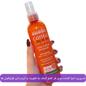اسپری گره باز کن موی فر کنتو شی باتر