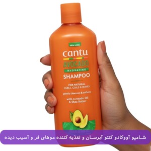 شامپو آووکادو کنتو 400ml