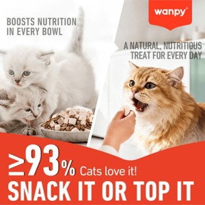 تشویقی گربه ونپی با طعم مرغ Wanpy Freeze Dried Bites وزن 20 گرم