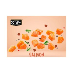 تشویقی چیپسی گربه کیت کت مراقبت از مجاری ادراری با طعم ماهی سالمون Kit Cat Crisps Cat Treat With Salmon وزن 20 گرم