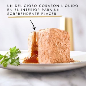 کنسرو غذای گربه گورمت مغزدار با طعم ماهی تن Gourmet Gold Fondant بسته 24 عددی