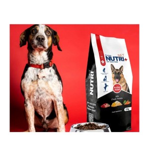 غذای خشک سگ بالغ نژاد بزرگ نوتری پت پلاس اکتیو Nutri Plus Active Adult Dog Food وزن 2 کیلوگرم