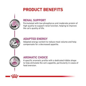 غذای خشک گربه رنال اسپشیال رویال کنین Royal Canin Renal Special وزن 2 کیلوگرم