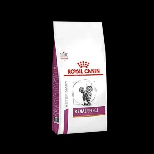 غذای خشک گربه رنال سلکت رویال کنین Royal Canin Renal Select وزن 2 کیلوگرم