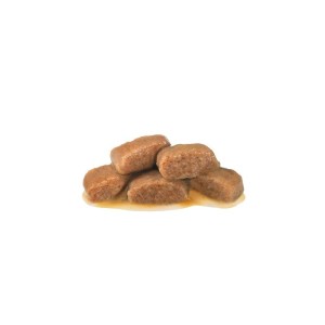 پوچ گربه رویال کنین با طعم ماهی Royal Canin Renal Fish وزن 85 گرم