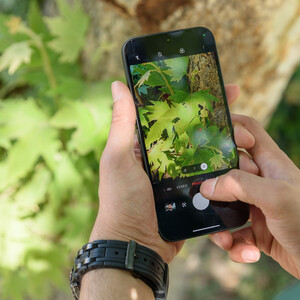 گوشی موبایل ناتینگ مدل Phone 2a دو سیم کارت ظرفیت 128 گیگابایت رم 8 گیگابایت