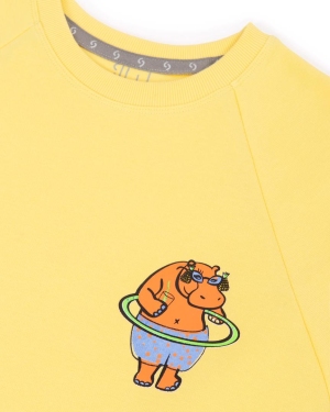 hippo sylw