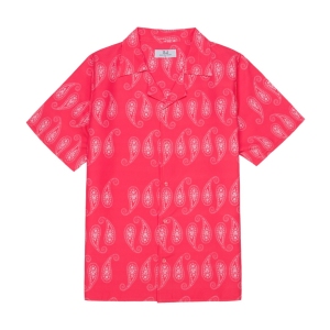 paisley