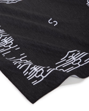 Bandana B2