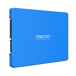 اس اس دی اینترنال اوسکو مدل BLUE 001 ظرفیت 256 گیگابایت