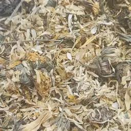 گل همیشه بهار