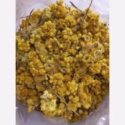 افسنطین (خاراگوش)