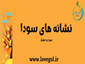 نشانه های سودا (مطلب)