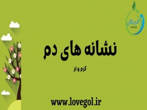 نشانه های دم (مطلب)