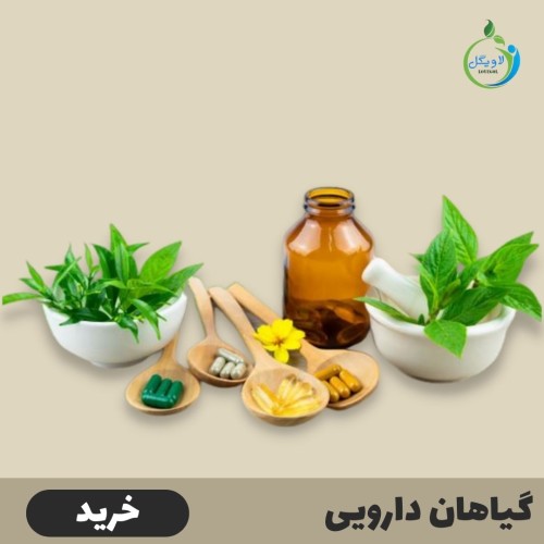 گیاهان دارویی لاویگل