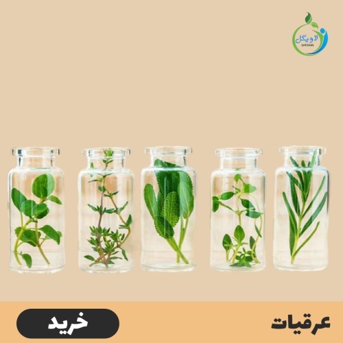 عرقیات لاویگل