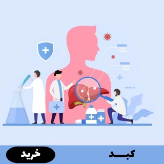 کبد