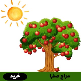 مزاج صفرا