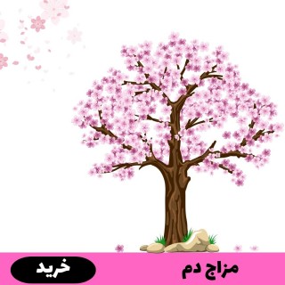 مزاج دم