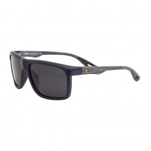 عینک آفتابی ری بن فراری  RAY BAN FERRARI کد 3014