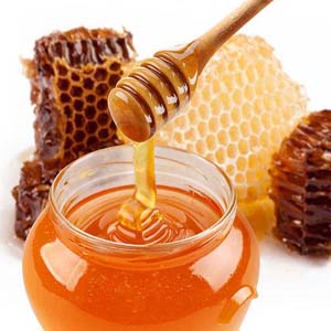 فروش بیزوکس در اصفهان