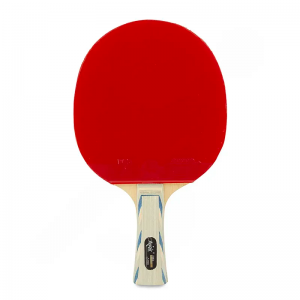 راکت پینگ پنگ فرندشیپ مدل 729 Friendship Table Tennis Bat | حرفه ای