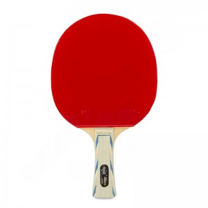 راکت پینگ پنگ فرندشیپ مدل 729 Friendship Table Tennis Bat | حرفه ای | بسته 2 عددی