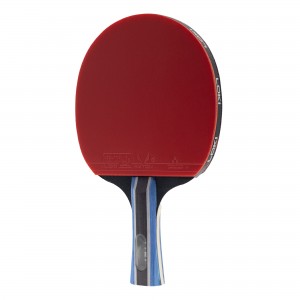 راکت پینگ پنگ لوکی کیف دار 2 ستاره کربن دار بسته 2 عددی | اورجینال | LOKI TABLETENNIS KIRIN STAR,S