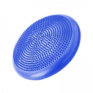 نیم دایره تعادلی کوشن بال روگ ROGUE مدل RO-2364.01 | حرفه ای | آبی