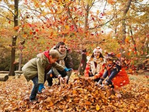 راهکار تنظیم فشارخون و کاهش احتمال سکته!! (مطلب)