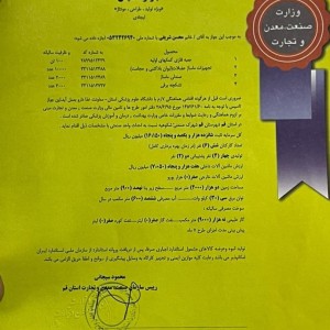 وکیوم سینه بانوان رادمد مدل 2 کاپ اورجینال