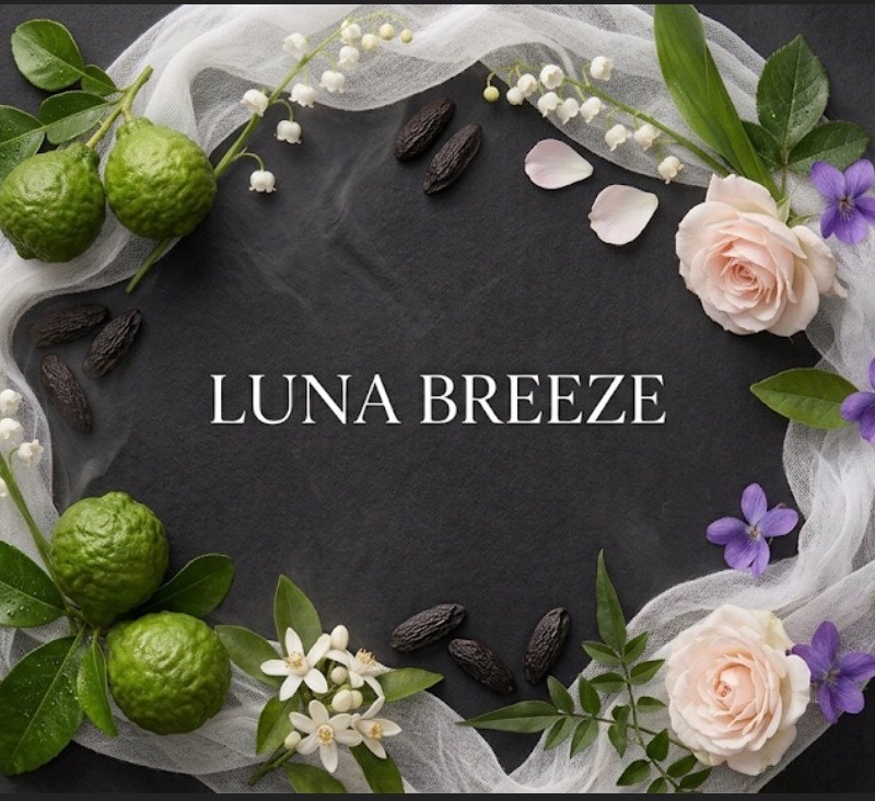 اسانس دستگاه خوشبو کننده رایحه( Luna Breeze)اعتباری اسنپ پی