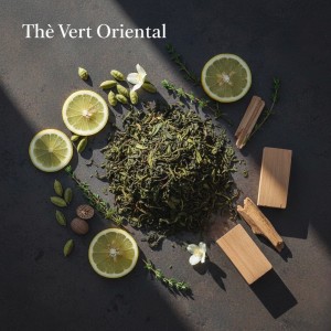 اسانس دستگاه خوشبو کننده رایحه(the vert oriental) نقدی