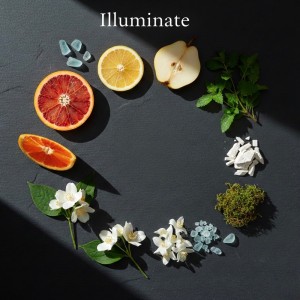 اسانس دستگاه خوشبو کننده رایحه( Illuminate ) نقدی