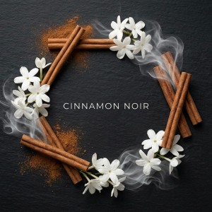 اسانس دستگاه خوشبو کننده رایحه (Cinnamon noir) اعتباری اسنپ پی