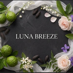 اسانس دستگاه خوشبو کننده رایحه( Luna Breeze)اعتباری اسنپ پی