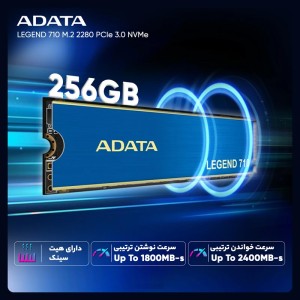 اس اس دی ای دیتا 256